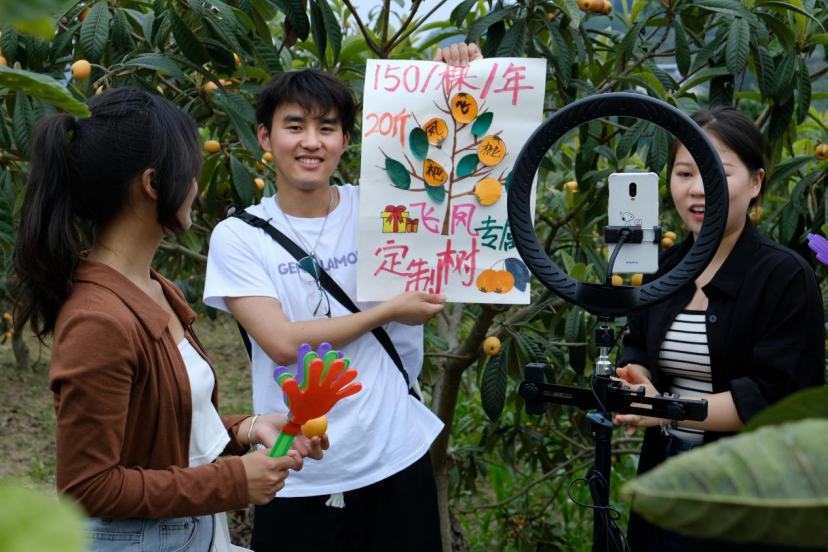 “三實三創(chuàng)到農(nóng)村”：助力飛鳳鎮(zhèn)枇杷節(jié)